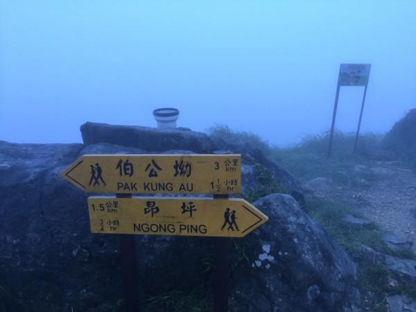 逃离密苏里州花园