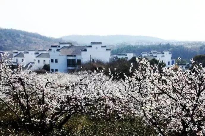 自由勇士历险记2